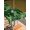 Gold Green DarkGreen, variant on Outdoor Tablecloth with Umbrella Hole and Zipper, Christmas Tree Rectangle Table Cloth 60x84 Inch Waterproof Tablecloth, Winter Snowflakes Xmas Pine Tree Black Picnic Table Cover for Patio Camping