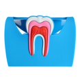 thumbnail image 4 of Estuche para Tarjetas de Nombre commerce business de Odontología de Goma Azul, 4 of 9