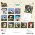 thumbnail image 2 of Old English Sheepdogs | 2025 12x24" (Hanging) Square Wall Calendar | BrownTrout, 2 of 9
