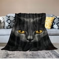 thumbnail image 2 of ARISTURING Black Cat Throw Blanket Flannel Fuzzy Soft Plush Blanket for All Season Lightweight Couch Bed Sofa Office Living Room, 2 of 6