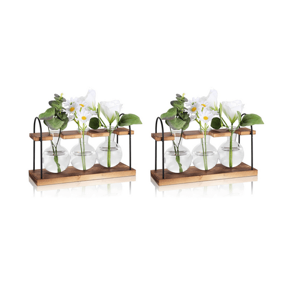 2X Plant Propagation Station with Wooden Stand,Plant Terrarium Desktop Propagation Stations,Air Planter Bulb Glass Vase