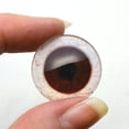 thumbnail image 4 of Dark Brown Human Inspired Glass Eyes with Whites, 4 of 9
