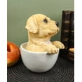 thumbnail image 5 of Ebros Realistic Adorable Golden Labrador Puppy in Teacup Statue 6"H, 5 of 7