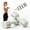 Green, variant on AbahubFit Adjustable Dumbbells Set for Women, Click-Lock Design with 12 Weight Plates, 4-in-1 Multiple Weight Options, Compact Home Gym Equipment