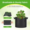 thumbnail image 3 of Bolsas de cultivo HealSmart Nonwoven de 3 galones, 12 unidades, color negro, 3 of 7