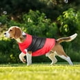 thumbnail image 2 of Thick Warm Dog Windproof Vest - Insulated, Comfortable Fit, Durable, Machine Washable, Perfect Winter Apparel for Dogs, 2 of 6