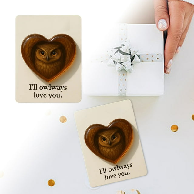 BotaniNest Owl Pocket Hug Owl Pocket Hug Owl Special Edition With Glass And Included Card