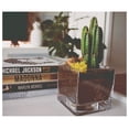 thumbnail image 3 of WGV Cube Glass Vase Bulk, Candle Holder, 3"x3"x3", Clear Floral Accent Container Planter Terrarium Storage for Wedding Party Ceremony Event Office Home Decor, 24 Pieces, 3 of 8