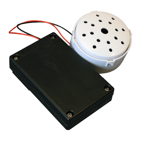 60 Sec Recording Module in White Case (with ON/OFF and 2-way Slide Switch)