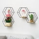 thumbnail image 4 of Gwong Decoración hogareña Tenedor de almacenamiento de hierro Multifuncional Multifuncional Estilo nórdico Firma geométrica Estante hexagonal para el hogar Gwong 21065295, 4 of 7