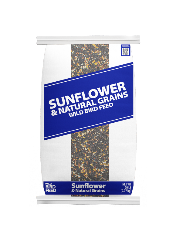 Bird Feed in Patio & Outdoor Decor