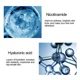 thumbnail image 3 of 500ml Large Capacity Essence Water Niacinamide Improve Dull Hyaluronic Acid Moisturize Dry Skin Facial Beauty Care Toner, 3 of 4