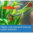 thumbnail image 4 of MARS Fishcare Aqua Essential - 8 oz AAP423D, 4 of 7