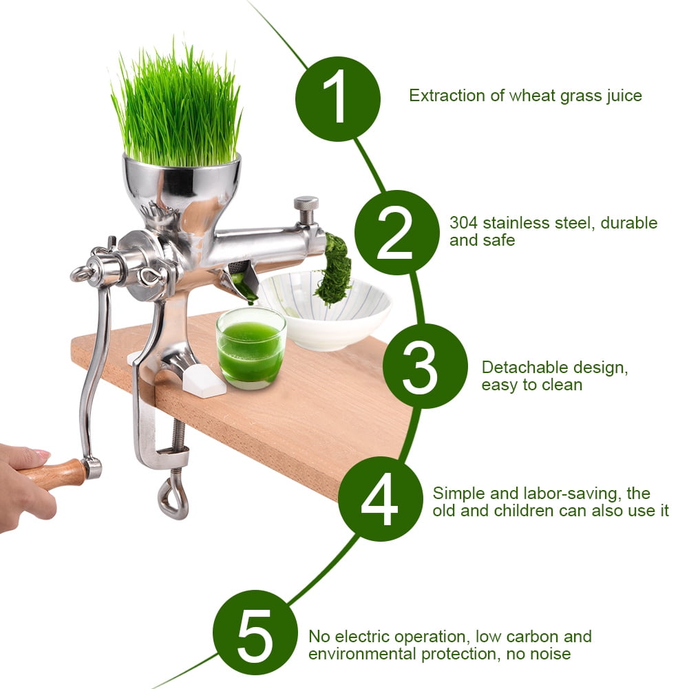 Cergrey Wheat Grass Juicer, Wheat Grass Extractor, Stainless Steel