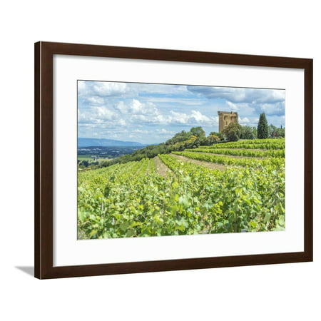 Vineyard, Rhone Valley, Ruins of castle, Chateauneuf du Pape, France Framed Print Wall Art By Jim