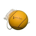 Sterling Sports Full Size Tetherball Ball with Rope, Pink