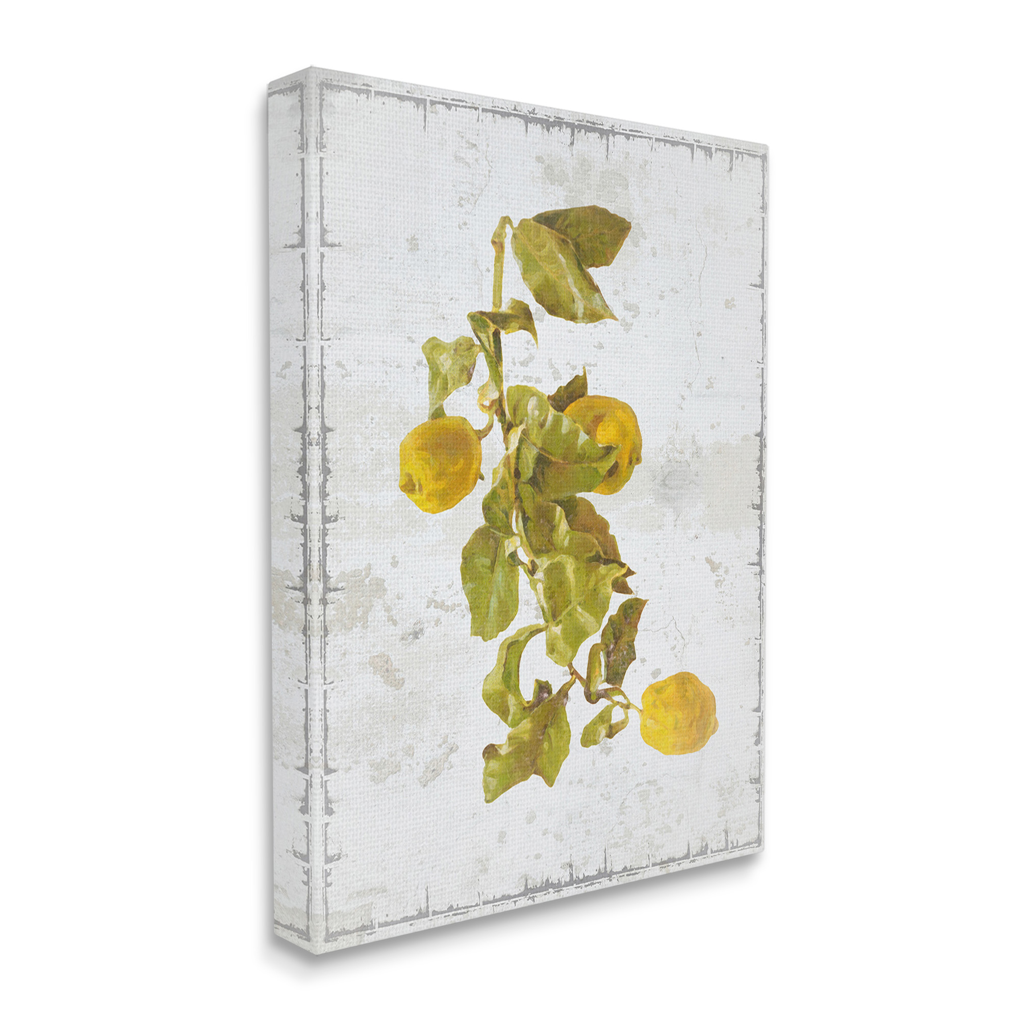 Stupell Industries Natural Lemon Fruits Food & Beverage Painting Gallery Wrapped Canvas Art Print Wall Art, 24 x 30