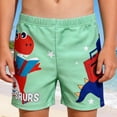 thumbnail image 2 of Boy Swim Trunks Quick Drying Swim Shorts Boys Swim Trunks Size 7-8 Years, 2 of 5
