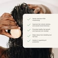 thumbnail image 2 of Barra de champú The Earthling Co. Promueve el crecimiento del cabello, 90 ml, paquete de 3, 2 of 9
