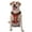 With Accessories, variant on Vsdgher Fire Extinguisher Pattern Dog Harness,No Pull Pet Harness with Soft Padded Handle,Adjustable Reflective Vest with 2 Buckles,4 Slide Buckles,S-XL