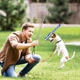 thumbnail image 1 of WHAMVOX Lightweight Silver Flirt Pole for Dogs for Improved Intelligence and Endurance, 1 of 4