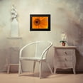 thumbnail image 4 of Grayscale 18x15 Black Modern Framed Museum Art Print Titled - Orange Wildflower II, 4 of 5