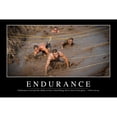 thumbnail image 2 of Endurance: Inspirational Quote and Motivational Poster Poster Print, 2 of 2