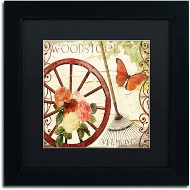Trademark Fine Art "Vermont Summer I" Canvas Art by Color Bakery Black Matte, Black Frame