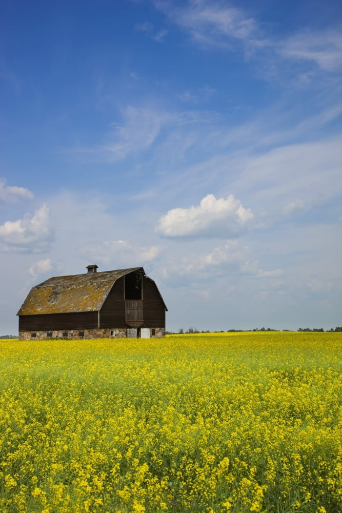 Posterazzi Alberta