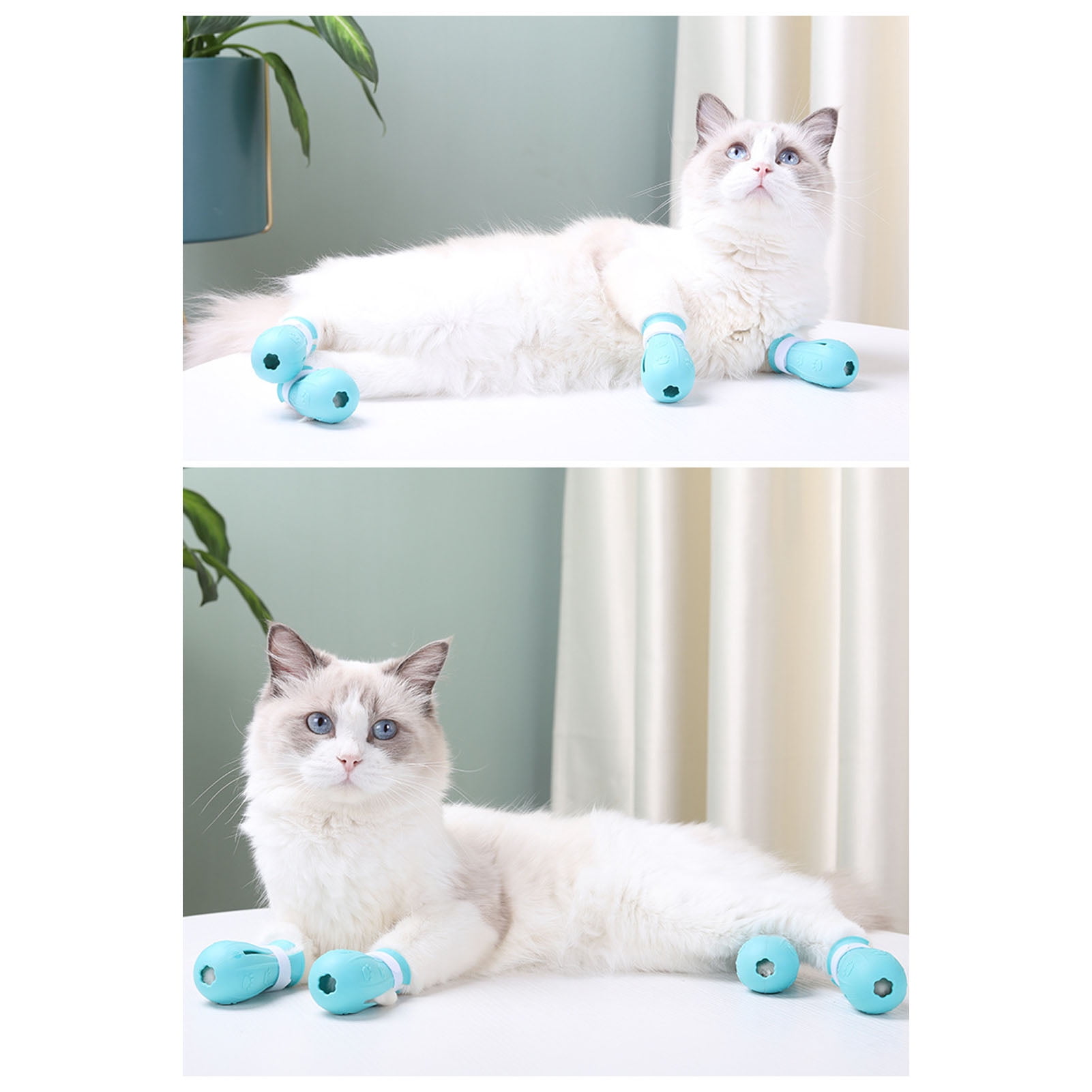 Cat Anti Scratch Chaussures Pack, Fournitures pour Animaux de