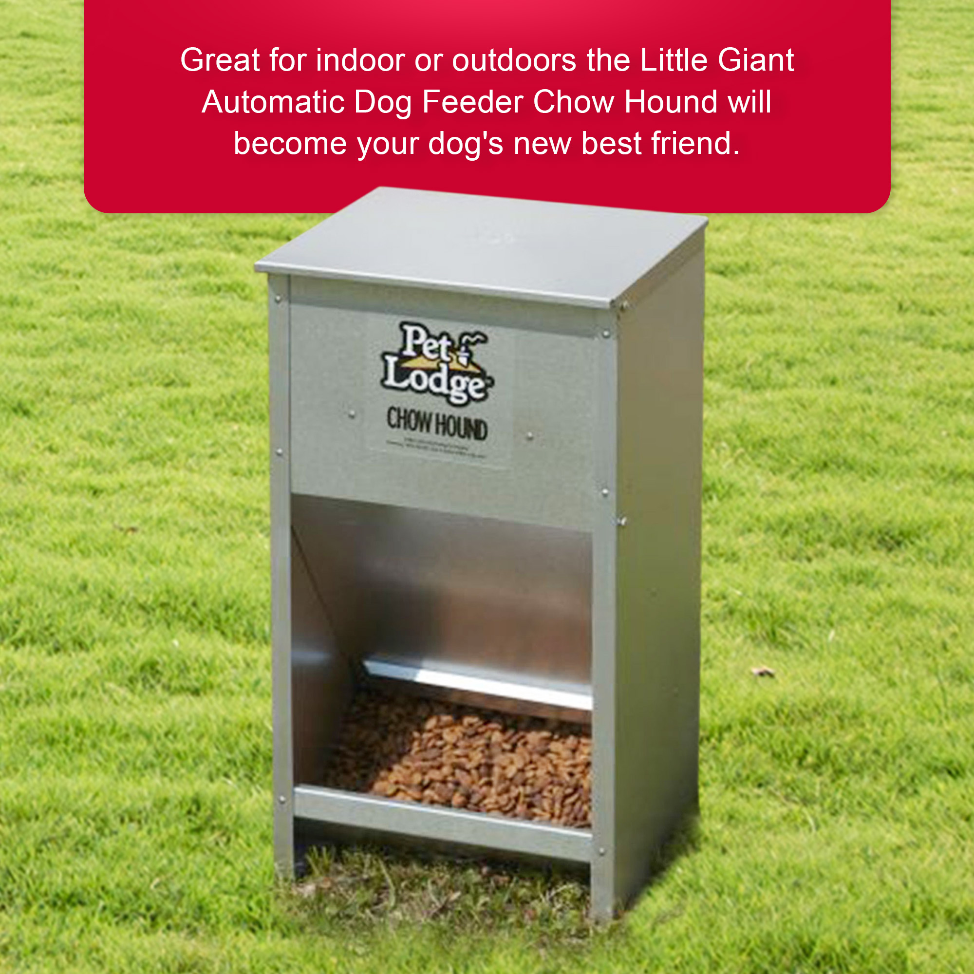 Pet Lodge Chow Hound Automatic Steel Dog Feeder photo 8