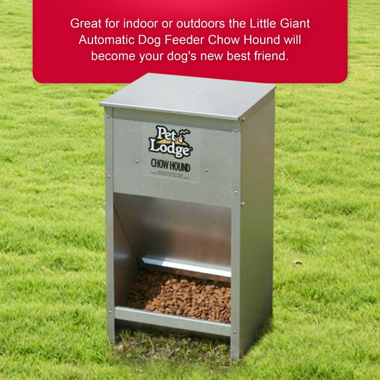 Pet Lodge Dry Food Automatic Steel Dog Feeder Chow Hound 25 Pound Capacity