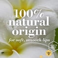 thumbnail image 3 of Burt's Bees Lip Balm Stocking Stuffer, Moisturizing Lip Care Holiday Gift, 100% Natural, Strawberry (2 Pack), 3 of 3