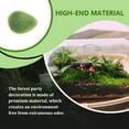 thumbnail image 4 of Inteprter Decoración de terrario, suministros de diorama de la selva tropical, musgo artificial conservado falso, paisaje de plantas cubierto de Decoración del hogar Nº 115 9*12cm, 4 of 6