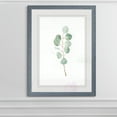 thumbnail image 2 of Wexford Home Soft Eucalyptus Branch III-Framed Print - Grey - 22X30, 2 of 4
