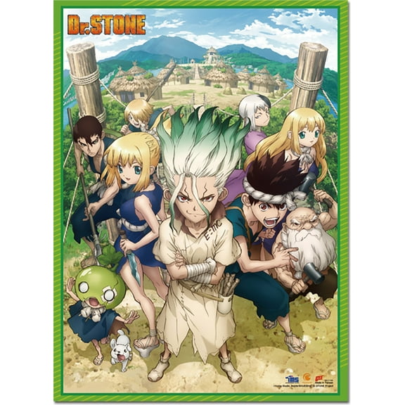 Dr. Stone- Key Art Wall Scroll