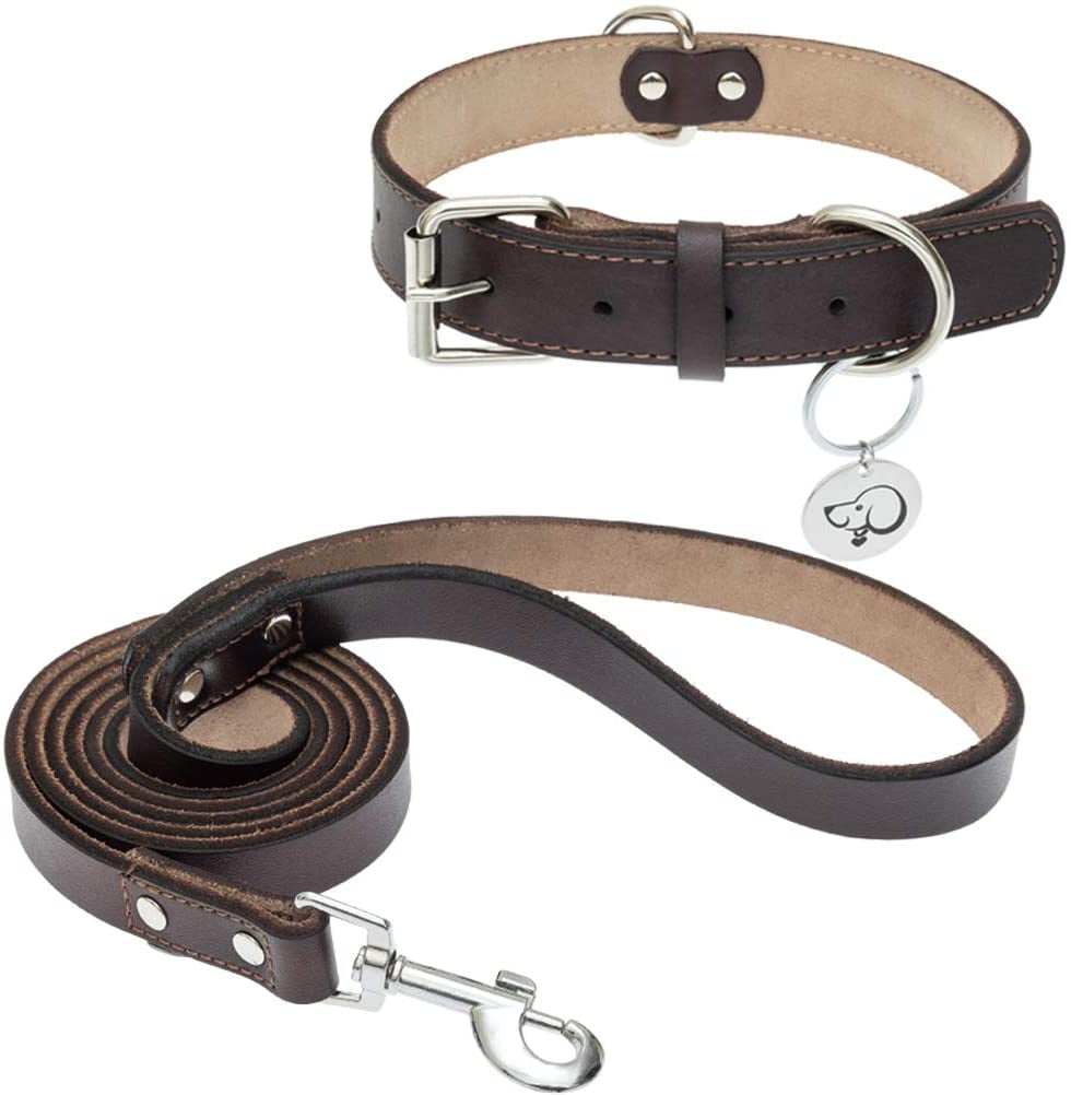 leather training collar