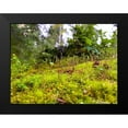 thumbnail image 2 of Grayscale 14x12 Black Modern Framed Museum Art Print Titled - Miniature Forest I, 2 of 5