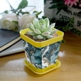 thumbnail image 5 of HemaKayy Decorative Planter Pot Set - Perfect for Small Plants - Colorful Design With Drainage Hole - Ideal for Home and Garden Decor - Set of 8 - Unique Marble Texture, 5 of 6