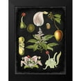 thumbnail image 2 of Vision Studio 15x18 Black Modern Framed Museum Art Print Titled - Study in Botany III, 2 of 5