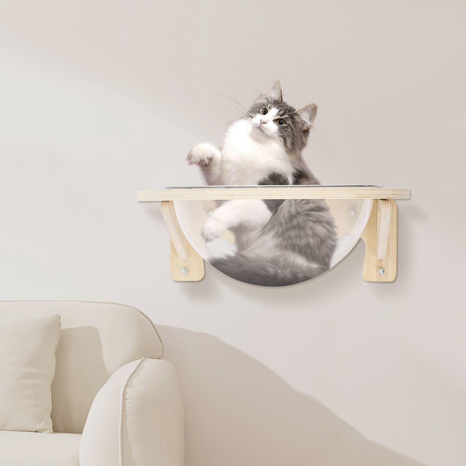Cat Window Perch, Wall Mounted Transparent Cat Bed House, 15.75 Inch Clear Cat Hammock with Suction Cups & Screws, High Capacity 16.5lbs for Indoor Cats, Space Saving Cat Furniture