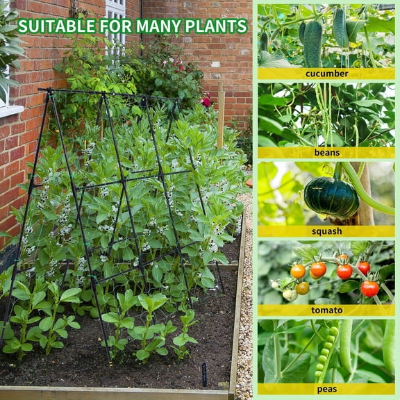 Cucumber Trellis Garden Trellis Arch Trellis, Tall Trellis for Climbing Plants Support Vegetable Peas Fruit Vine Outdoor A-Frame Trellis Suit for Small Plant not Heavy