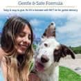 thumbnail image 5 of Rx Vitamins Rx D3 - Cat & Dog Vitamins Liquid D3 Drops in MCT Oil - Vitamin D for Dogs & Cats to Manage Deficiency - Aids in Dog Immune Support and Calcium Absorption - Pet Vitamin D3 - 2oz, 5 of 8