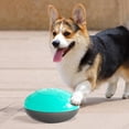 thumbnail image 4 of Juguete interactivo de la bola de la invitación del rompecabezas de Azul Zulema Juguetes Squeaky Ball Dogs, 4 of 8