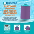 thumbnail image 2 of Hurricane Filters HF6H47-01P Platinum Purple Spa Filter Cartridge Replacement, 2 of 7