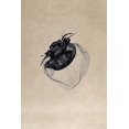 thumbnail image 2 of Tocado negro ajustable con velo - Tocado nupcial Babeyond Derby para bodas y eventos reales, 2 of 5