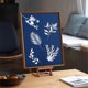 thumbnail image 3 of 32 Sheets Cyanotype Paper Sun Print Paper Kit,for Crafts DIY Project, 3 of 5