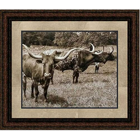 Texas Longhorn Grazing | Western Framed Cattle Art in Double Mat | 16L X 19W" Inches
