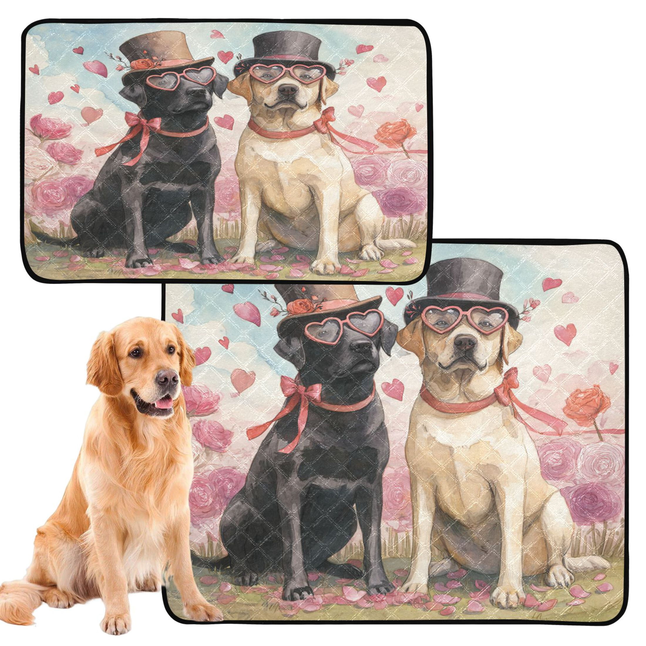 Qxltty Labrador Dogs Cat litter Pads Pet Set of 3 Diaper Mats Center Anti-leakage Layer Absorbent Soft and Comfortable