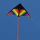 thumbnail image 4 of Cometa Delta Rainbow con cuerda y Cola Cola Triangulo Grande, 4 of 7